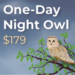 One-Day Night Owl